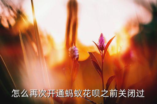 花唄別關(guān)閉怎么再開開，怎么再次開通螞蟻花唄之前關(guān)閉過
