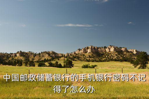 中國郵政儲(chǔ)蓄銀行的手機(jī)銀行密碼不記得了怎么辦
