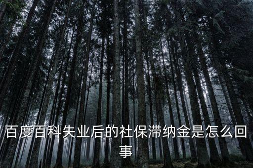 百度百科失業(yè)后的社保滯納金是怎么回事