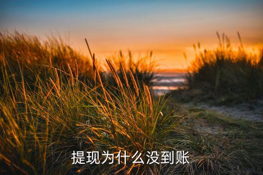 提現(xiàn)為什么沒到賬