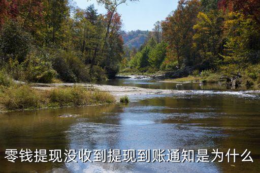 為什么零錢提現(xiàn)沒到賬，提現(xiàn)為什么沒到賬