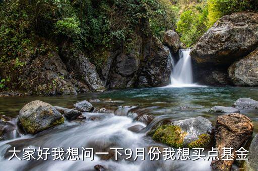 2017年9月買什么基金好，大家好我想問一下9月份我想買點基金