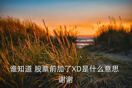誰知道 股票前加了XD是什么意思 謝謝