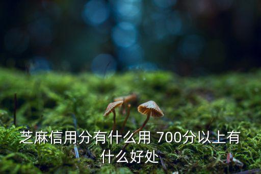 芝麻信用分有什么用 700分以上有什么好處