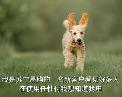 我是蘇寧易購的一名新客戶看見好多人在使用任性付我想知道我申