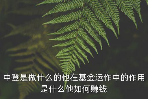 中登是做什么的他在基金運(yùn)作中的作用是什么他如何賺錢