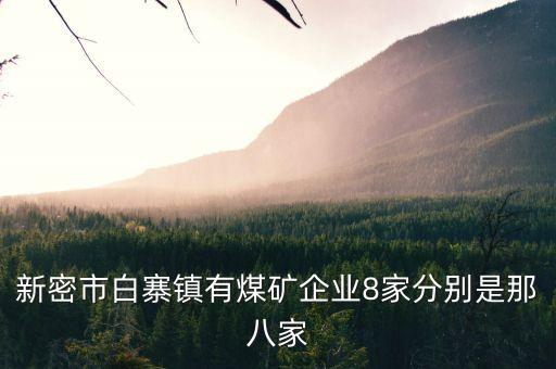 國投新興是什么，新密市白寨鎮(zhèn)有煤礦企業(yè)8家分別是那八家