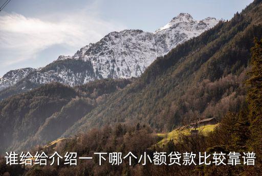 誰給給介紹一下哪個(gè)小額貸款比較靠譜