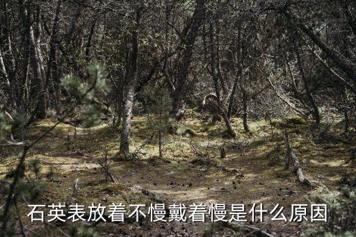 不算什么壞結(jié)果，石英表放著不慢戴著慢是什么原因