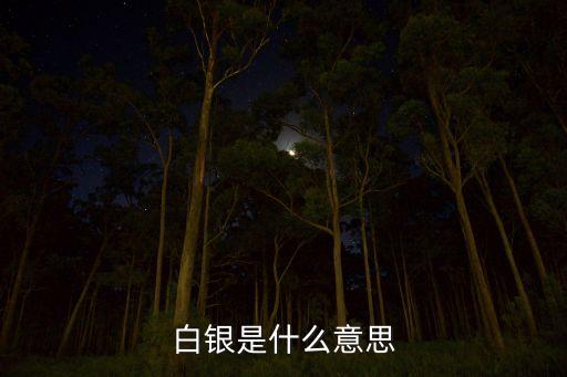 白銀是什么意思