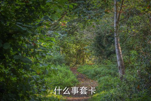 信用套餐什么意思，聯(lián)通手機卡信用額度40是什么意思
