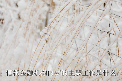 銀行內(nèi)審是干什么的，銀行內(nèi)部審計職能是什么