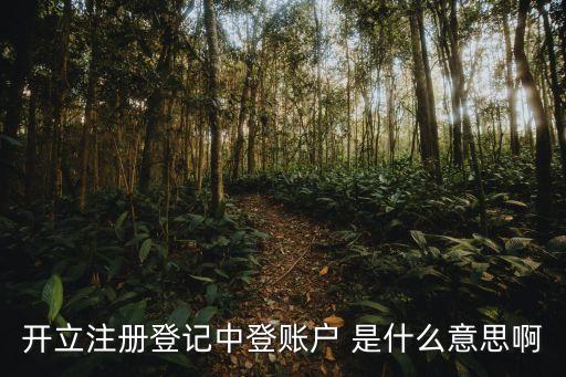 中登證券賬戶什么意思，基金公司帳戶怎么是中登