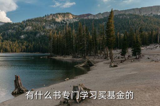 買(mǎi)基金看什么書(shū)，有什么書(shū)專門(mén)學(xué)習(xí)買(mǎi)基金的