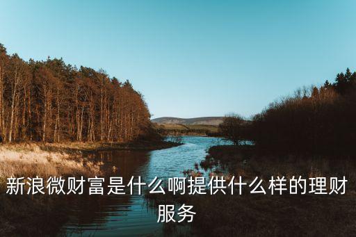 新浪微財(cái)富是什么啊提供什么樣的理財(cái)服務(wù)