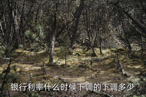 銀行利率什么時(shí)候下調(diào)的下調(diào)多少