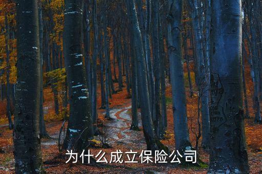 為什么要有保險公司，保險公司的意義