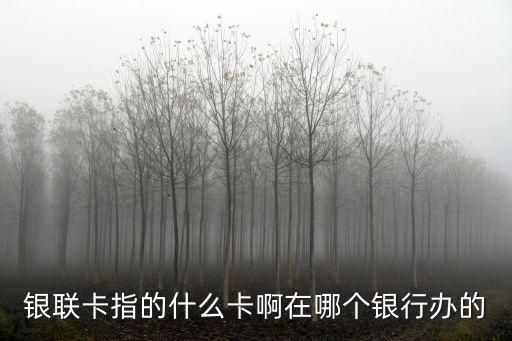 銀聯(lián)包括什么信用卡，銀聯(lián)卡指的什么卡啊在哪個(gè)銀行辦的