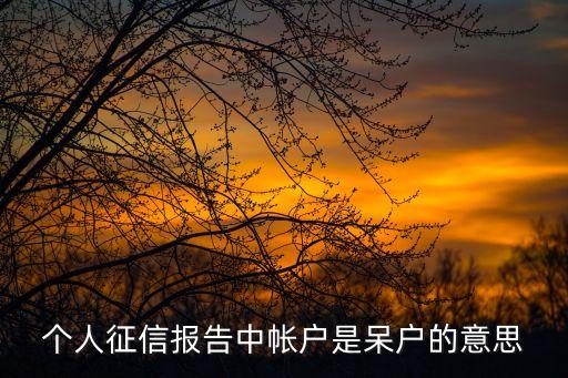 個(gè)人征信報(bào)告中帳戶是呆戶的意思