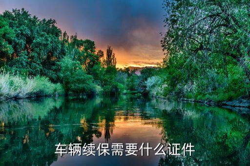 續(xù)車險需要帶什么證件，續(xù)車險需要帶什么證件