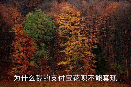 為什么花唄不能提現(xiàn)金，螞蟻花唄為什么不能直接提現(xiàn)