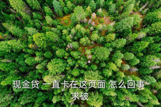 現(xiàn)金貸 一直卡在這頁面 怎么回事 求破