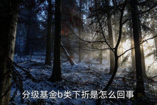 什么是分級b的下折，分級基金b類下折是怎么回事