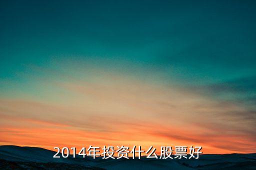 2014年投資什么股票好