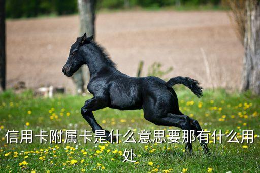 信用卡附屬卡是什么意思要那有什么用處