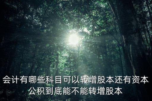 什么可以轉(zhuǎn)增股本，會計有哪些科目可以轉(zhuǎn)增股本還有資本公積到底能不能轉(zhuǎn)增股本