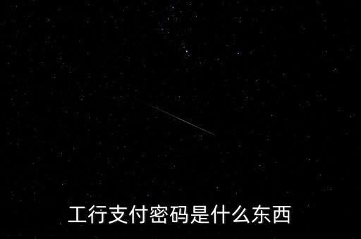 工行支付密碼是什么東西