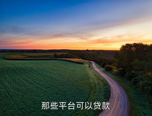 還有什么平臺貸款，網上有什么借錢平臺