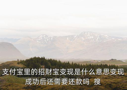 變現(xiàn)貸什么意思，蘇寧理財變現(xiàn)貸