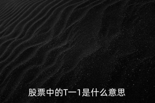 股票中的T一1是什么意思