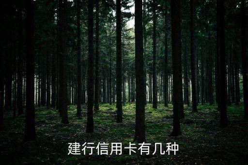 建行信用卡有幾種