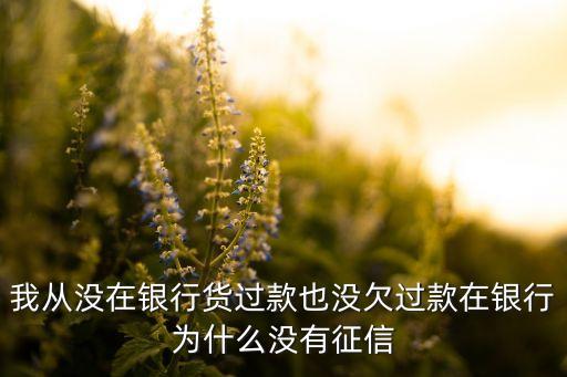 我從沒在銀行貨過款也沒欠過款在銀行為什么沒有征信