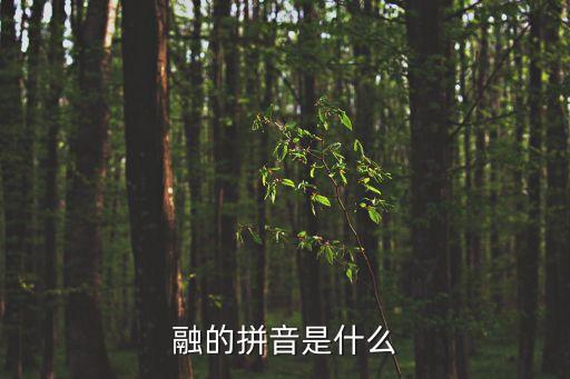 融的拼音是什么