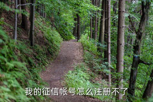 為什么我征信注冊(cè)不了，為什么征信不能注冊(cè)