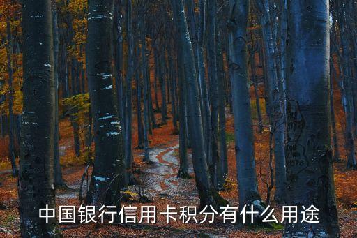 中銀積分兌換什么意思，中國銀行信用卡積分有什么用途
