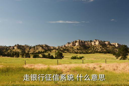 打征信是什么意思，個(gè)人征信是什么意思