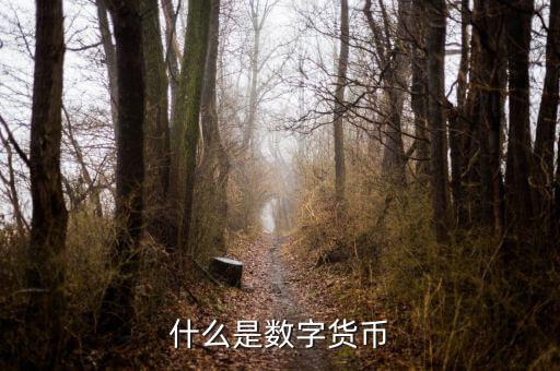 數(shù)字貨幣是什么意思，什么是數(shù)字貨幣