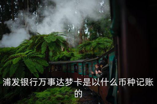 浦發(fā)銀行萬事達夢卡是以什么幣種記賬的