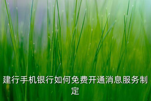 建行短信定制是什么，建行手機銀行如何免費開通消息服務制定