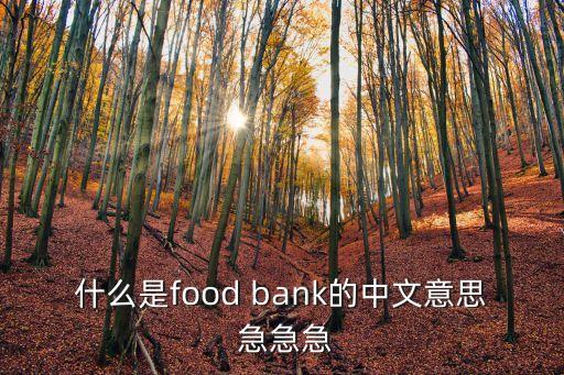 什么是food bank的中文意思 急急急