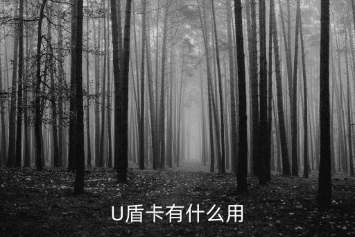 U盾卡有什么用