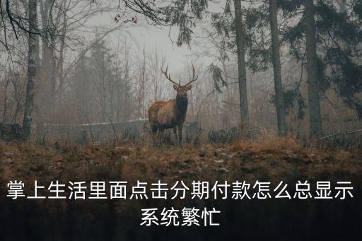 掌上生活里面點擊分期付款怎么總顯示系統(tǒng)繁忙