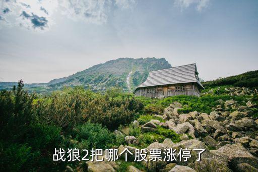 戰(zhàn)狼的股票是什么，戰(zhàn)狼2把哪個股票漲停了