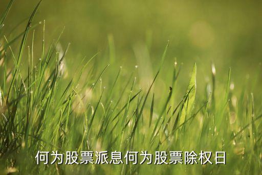 何為股票派息何為股票除權(quán)日