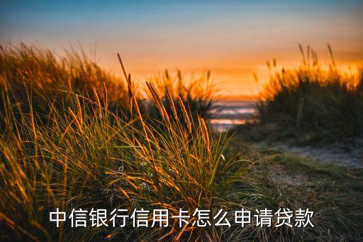 中信銀行信用卡怎么申請貸款