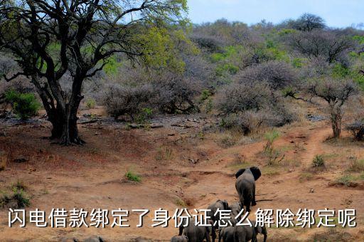 有閃電借款還能解什么，閃電借款綁定了身份證怎么解除綁定呢